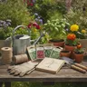 Jardinage pour débutants : le guide complet