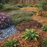 Paillage et couvre-sol : le guide complet