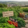 Le potager lorrain : conseils pratiques
